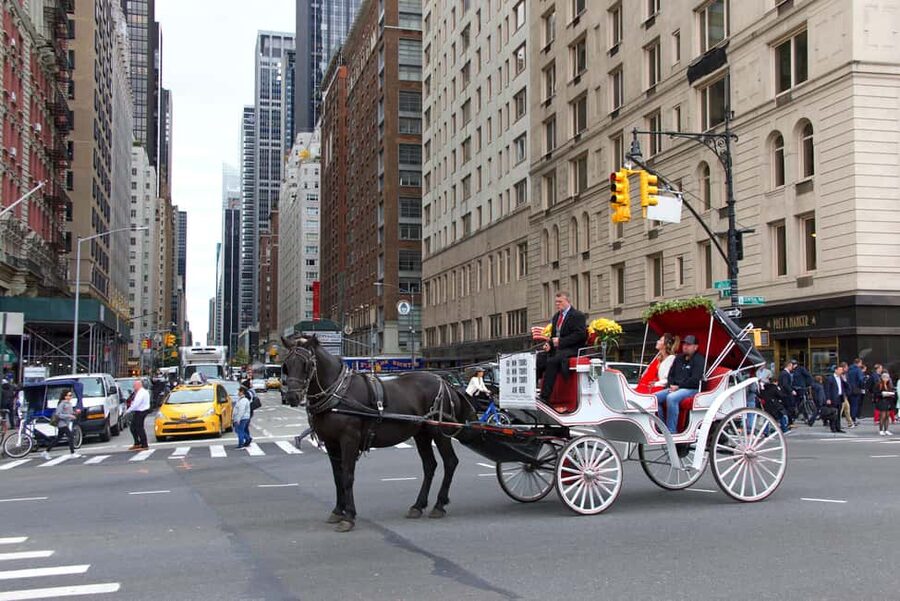 NYC: Private Central Park Horse Carriage Ride with Guide - What the guides add to the experience