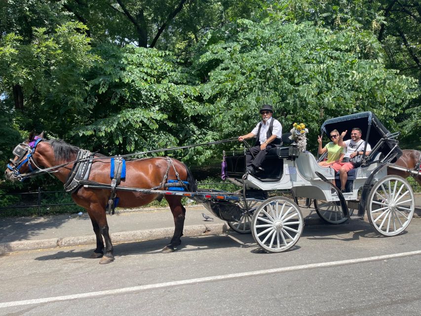 NYC Private Central Park Horse Carriage Ride with Guide - The guides, horses, and personal service