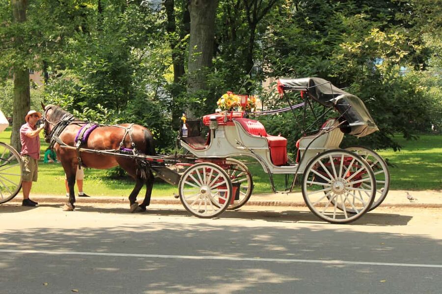 NYC: Private Central Park Horse Carriage Ride with Guide - Meeting at Central Park South and Seventh Avenue