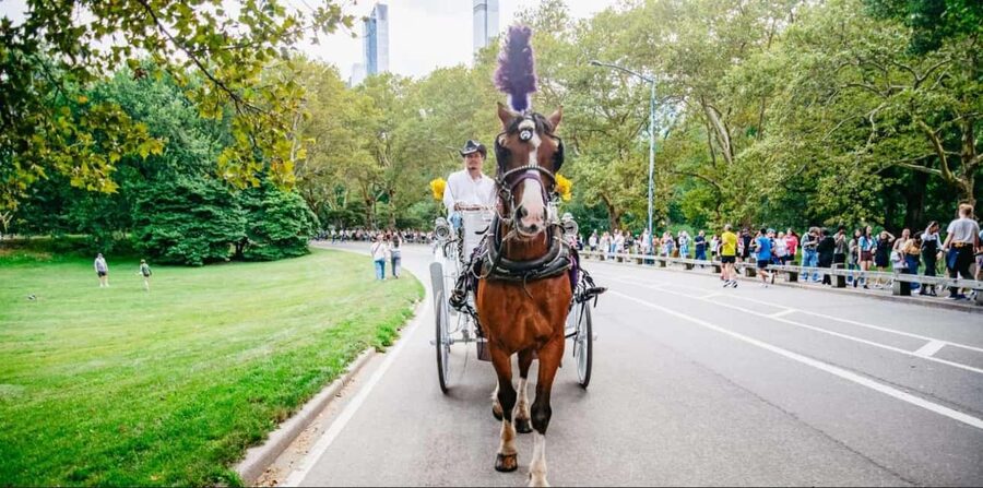 NYC: Private Christmas Lights Horse Carriage Ride - Key points to know before you book