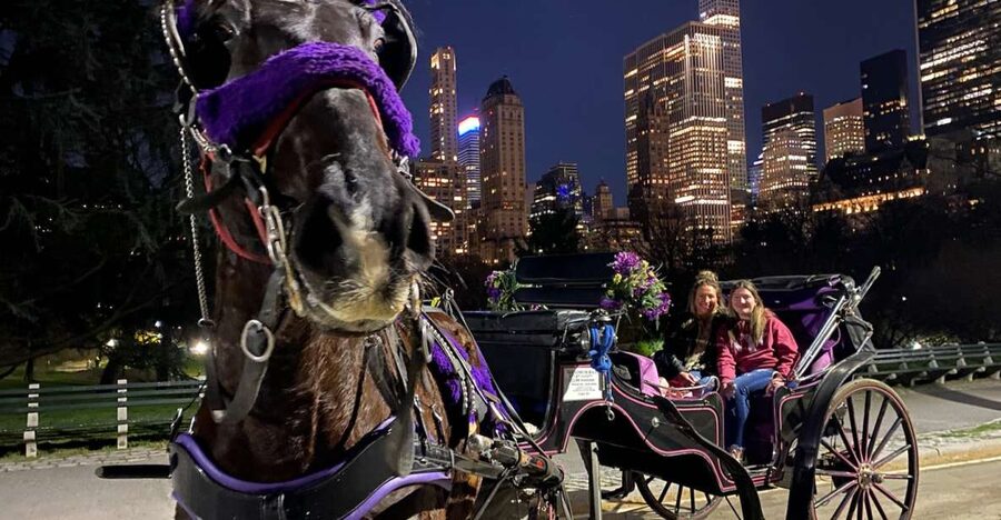 NYC: Private Christmas Lights Horse Carriage Ride - Radio City Music Hall, Saint Patrick’s Cathedral, and Times Square