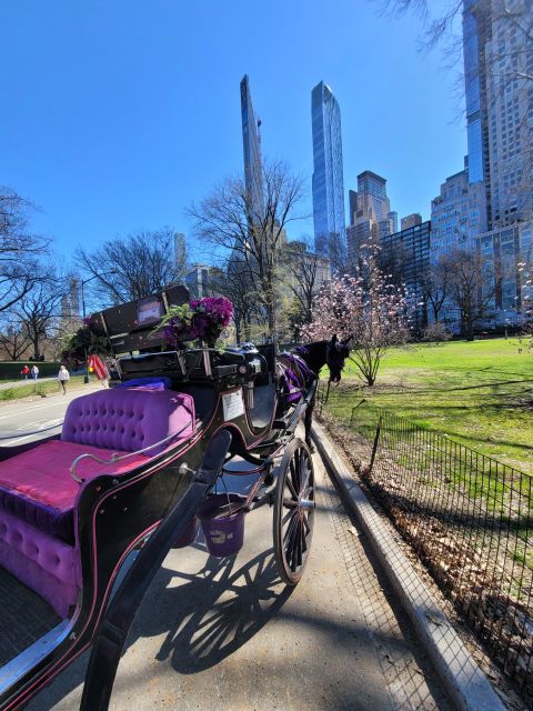 NYC: Private Christmas Lights Horse Carriage Ride - What the carriage feels like in cold weather