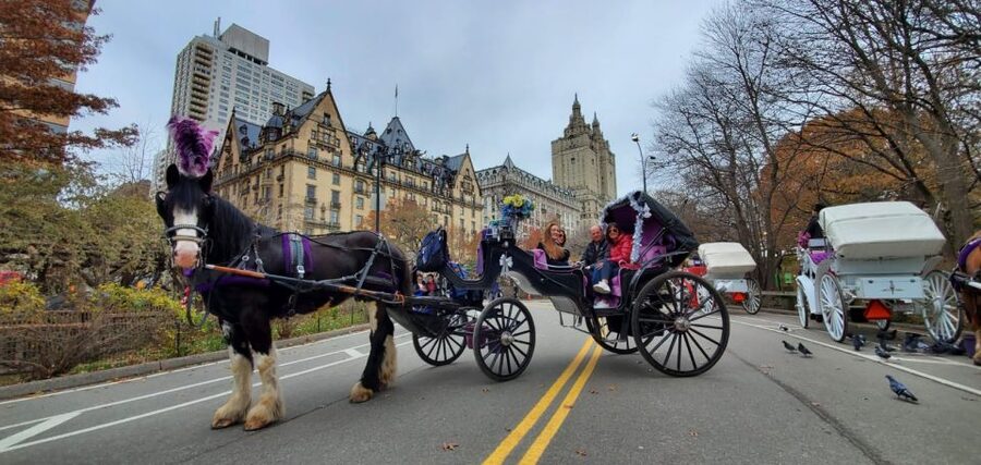 NYC: Private Christmas Lights Horse Carriage Ride - Is $13 per group a good value?