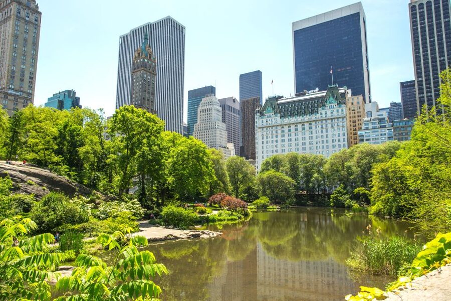 NYC: Private Tour Secrets of Central Park - Seeing how Central Park was designed as one work of art