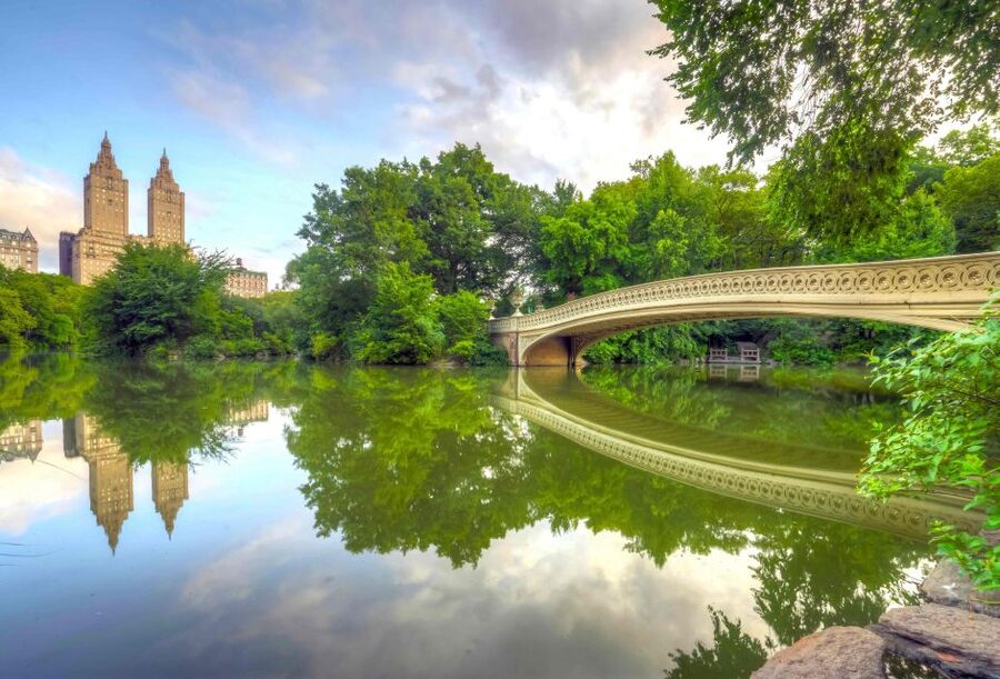 NYC: Private Tour Secrets of Central Park - The Pond, Central Park Zoo, and the park’s southern edge