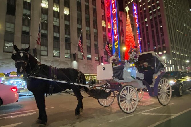 NYC Rockefeller Center Christmas Lights Horse Carriage Ride - Rockefeller Center’s Christmas tree photo stop