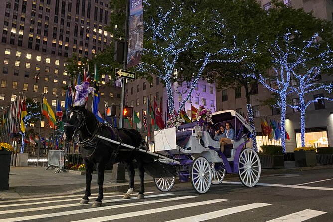 NYC Rockefeller Center Christmas Lights Horse Carriage Ride - The return route through Sixth or Madison Avenue