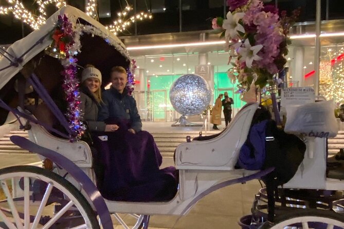NYC Rockefeller Center Christmas Lights Horse Carriage Ride - Central Park South, Wollman Rink, and the carousel