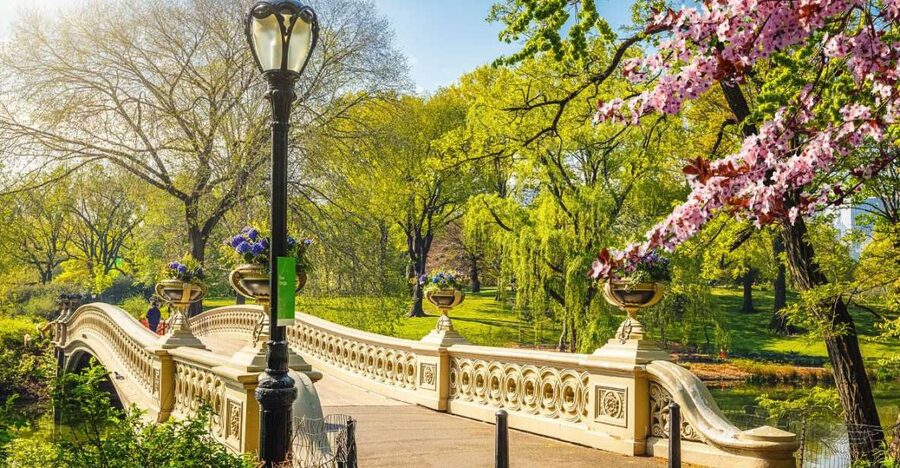 NYC: Sightseeing Day Trip with Statue of Liberty Visit - Should you book this New York bus and boat tour?