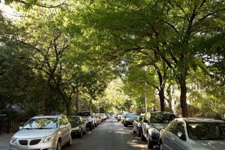 NYC: Soho, Little Italy and Chinatown Private Walking Tour - Practical details before you book