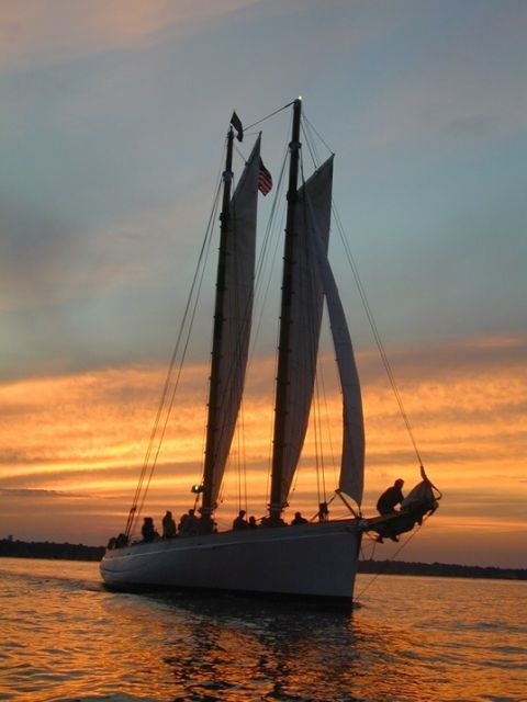 NYC: Sunset Sail Aboard Schooner Adirondack - Sunset, skyline lights, and the best part of the evening