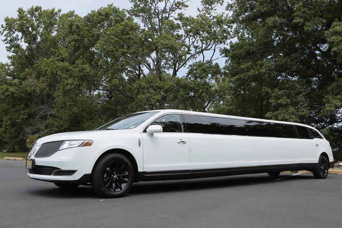 NYC VIP Private Luxury airport arrival ride by Stretch Limousine - Who should book this airport transfer?