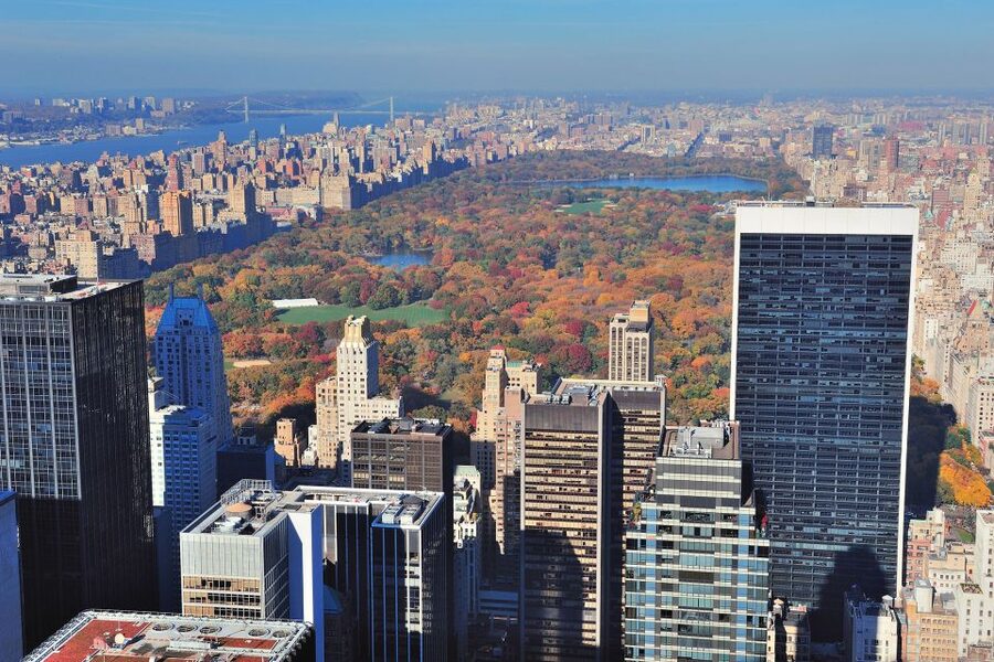 NYC: Walking Tour with Local Guide and 30+ Top NYC Sights - Times Square and the New York Public Library
