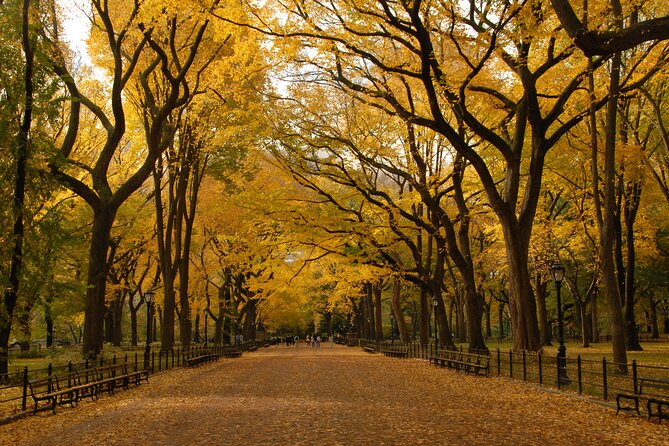 Official Central Park Walking Tour - Bethesda Terrace, the Lake, and the Boathouse