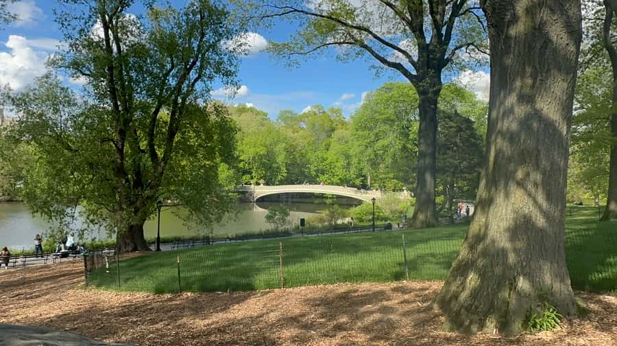 Official Exclusive VIP Horse Carriage Ride in Central Park - Why a carriage is a smart way to see Central Park