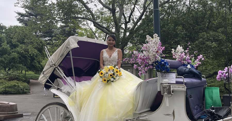 Official Exclusive VIP Horse Carriage Ride in Central Park - Meeting the carriage at Central Park South