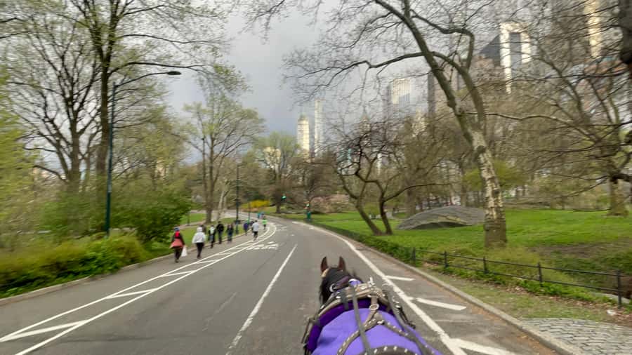 Official Exclusive VIP Horse Carriage Ride in Central Park - Bethesda Fountain gives the ride its classic view