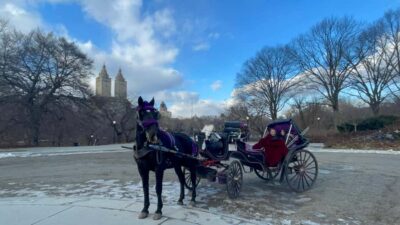 Official Exclusive VIP Horse Carriage Ride in Central Park