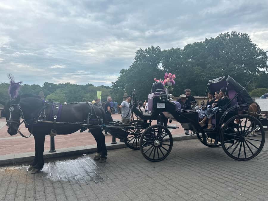 Official Exclusive VIP Horse Carriage Ride in Central Park - Cherry Hill and the view toward The Lake