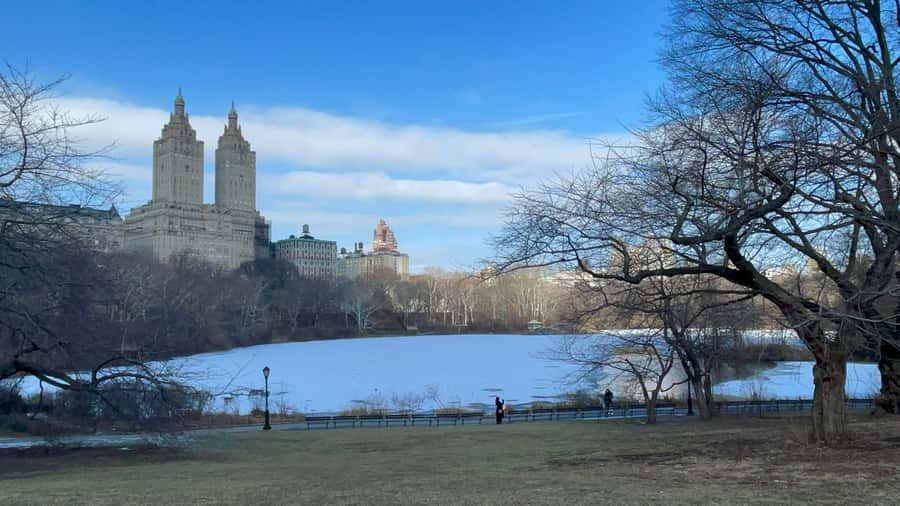Official Exclusive VIP Horse Carriage Ride in Central Park - Sheep Meadow, Tavern On The Green, and Balto