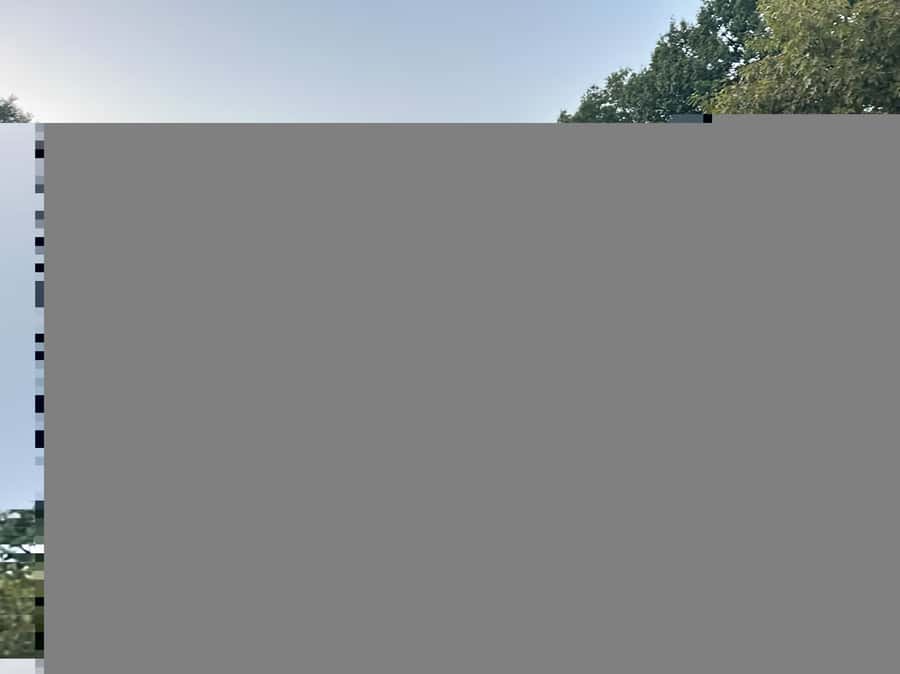 Official Exclusive VIP Horse Carriage Ride in Central Park - Summer Stage, the Boathouse, and the Bandshell