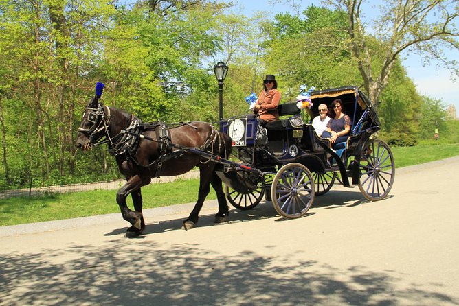 Official NYC Horse Carriage Rides in Central Park since 1979 ™ - Key details before you book