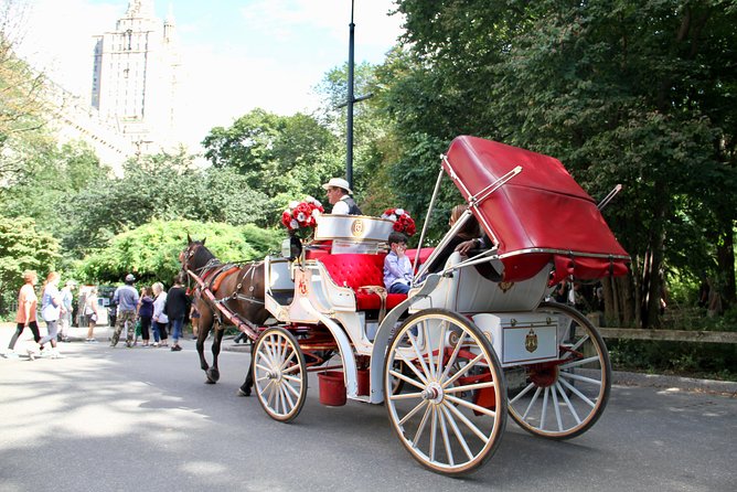 Official NYC Horse Carriage Rides in Central Park since 1979 ™ - What this carriage ride is really like