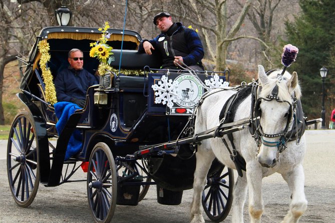 Official NYC Horse Carriage Rides in Central Park since 1979 ™ - Conservatory Water and Bethesda Terrace