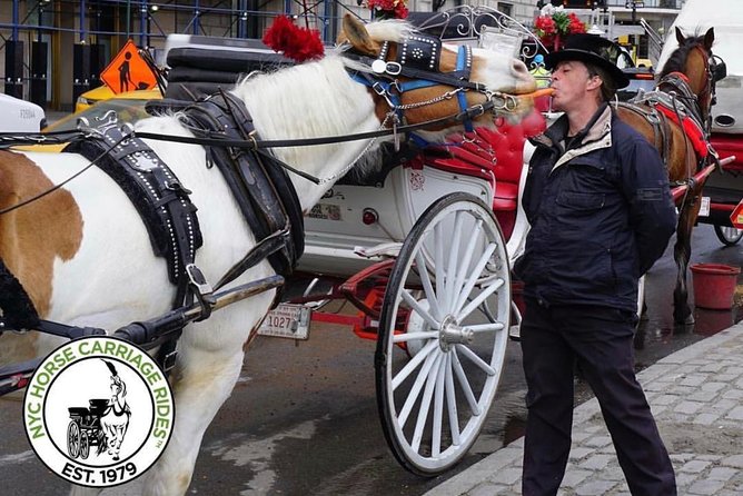 Official NYC Horse Carriage Rides in Central Park since 1979 ™ - The Lake, Cherry Hill, and Bow Bridge