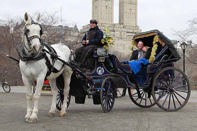 A carriage in the park