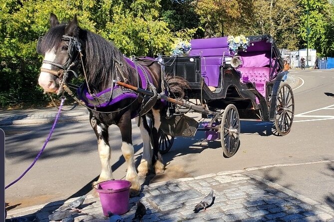 Official Private New York City Central Park Horse Carriage Ride Since 1965™ - Key details to know before you book