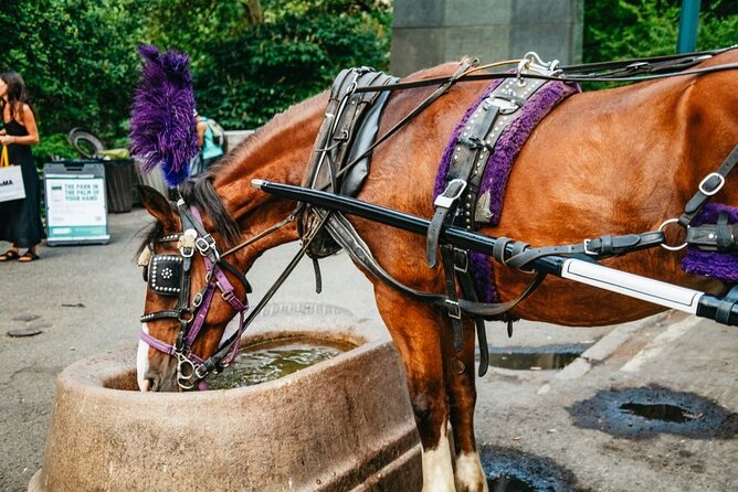 Official Private New York City Central Park Horse Carriage Ride Since 1965™ - Balto, Rumsey Playfield, and Conservatory Water