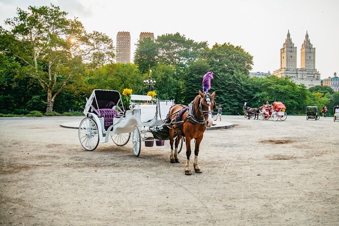 Official Private New York City Central Park Horse Carriage Ride Since 1965™ - Bethesda Fountain and Cherry Hill photo stops