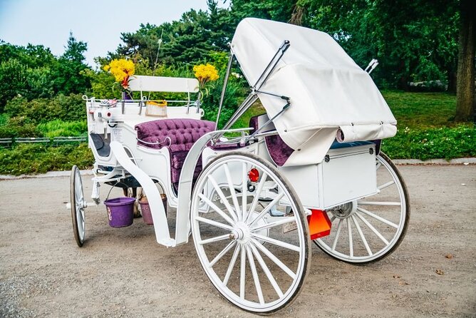 Official Private New York City Central Park Horse Carriage Ride Since 1965™ - Sheep Meadow, movie locations, and Pinebank Arch