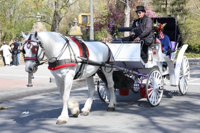 Official Private NYC Central Park Horse Carriage Ride Since 1970™ - The shorter route: a compact Central Park introduction