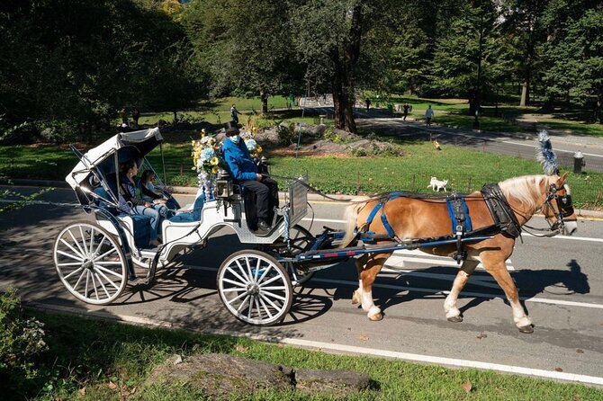 Official Private NYC Central Park Horse Carriage Ride Since 1970™ - Bethesda Terrace is the first photo stop