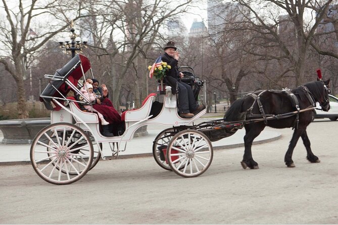 Official Private NYC Central Park Horse Carriage Ride Since 1970™ - Cherry Hill gives you time with the horse