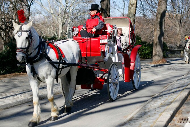 Official Private NYC Central Park Horse Carriage Ride Since 1970™ - Tavern on the Green and the Elf bridge