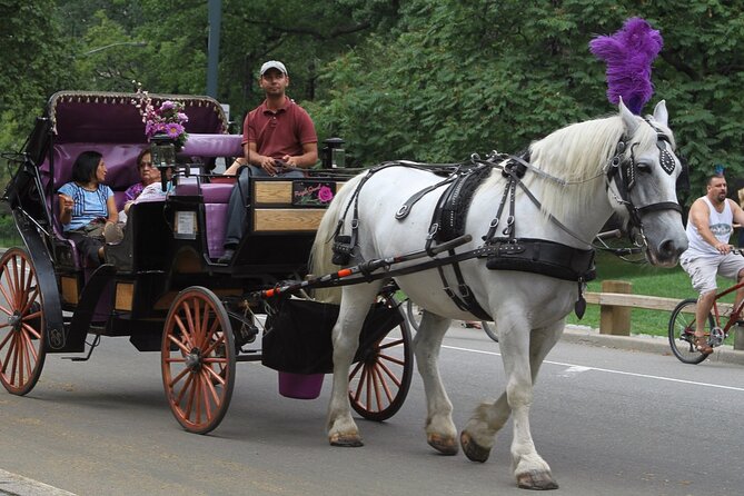 Official Private NYC Central Park Horse Carriage Ride Since 1970™ - Holiday rides can add Fifth Avenue