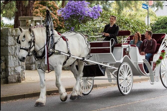 Official Private NYC Central Park Horse Carriage Ride Since 1970™ - Balto and Rumsey Playfield on the standard ride
