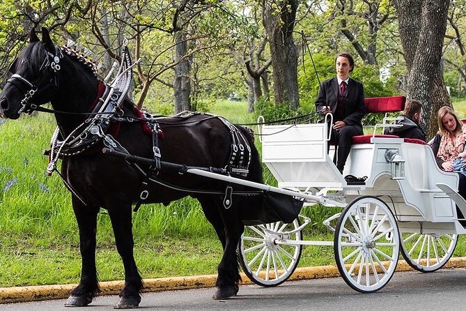 Official Private NYC CentralPark Horse Carriage Ride Since 1972 - The opening stretch near Wollman Rink