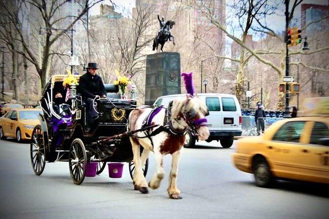 Official Private NYC CentralPark Horse Carriage Ride Since 1972 - Bow Bridge and the limits of the route