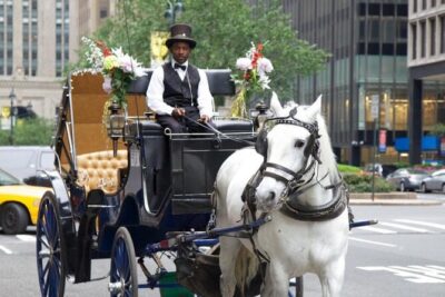 Official Private NYC CentralPark Horse Carriage Ride Since 1972