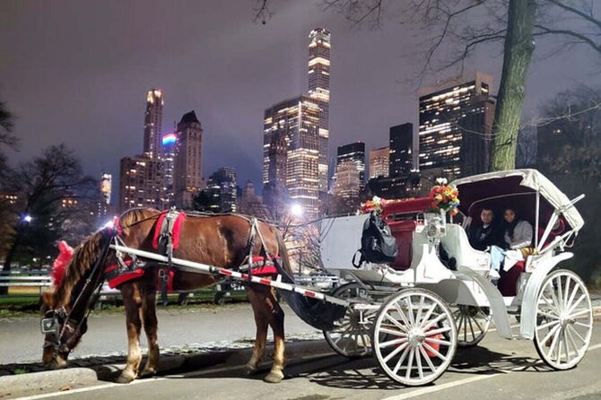 Official Private NYC CentralPark Horse Carriage Ride Since 1972 - The guides make the difference
