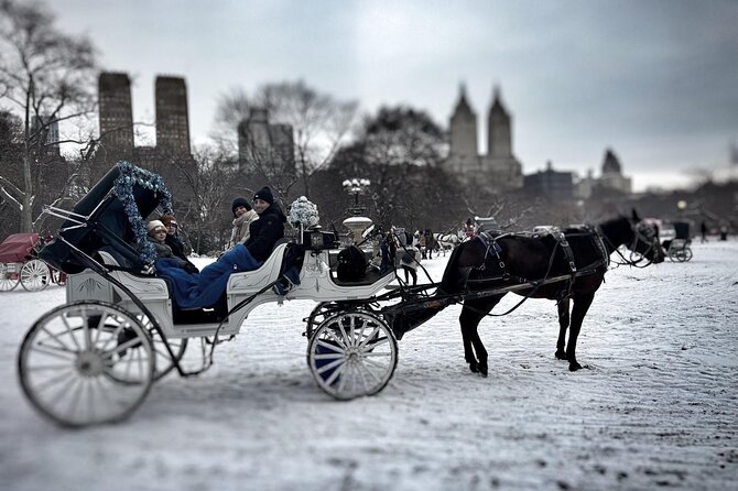 Official Private NYC CentralPark Horse Carriage Ride Since 1972 - Weather, animal welfare, and one serious practical warning