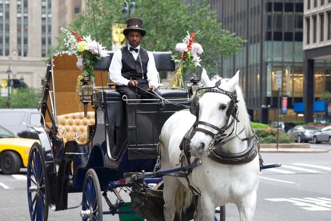 Official Private NYC CentralPark Horse Carriage Ride Since 1972 - Cherry Hill and the best photo pause