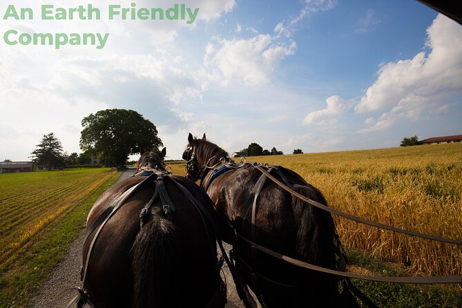 Philadelphia and Amish Country, 1-Day Tour from NYC - Why this unusual Pennsylvania pairing works