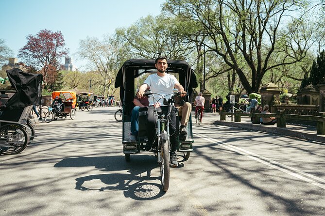 Private Central Park Guided Pedicab Tour - Belvedere Castle gives you a high view
