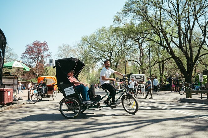 Private Central Park Guided Pedicab Tour - Alice in Wonderland is the most playful stop