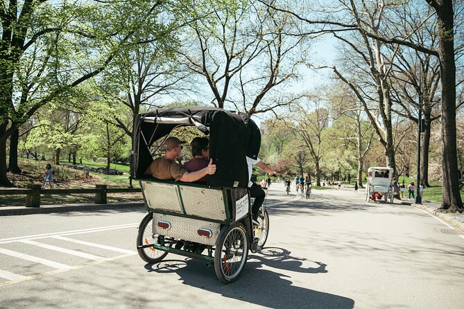 Private Central Park Guided Pedicab Tour - Sheep Meadow gives the ride room to breathe